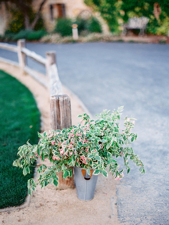 Holman ranch wedding details
