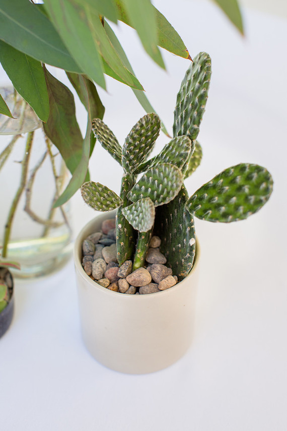 Llama mama baby shower