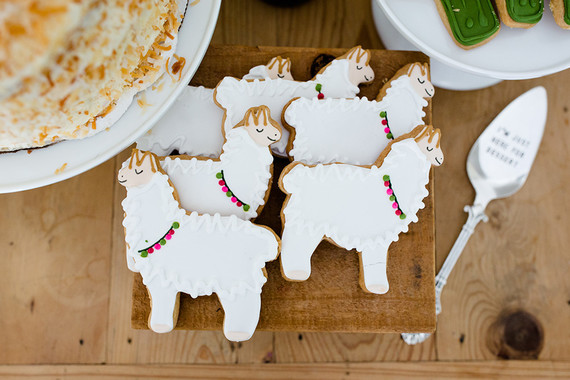 Llama mama baby shower