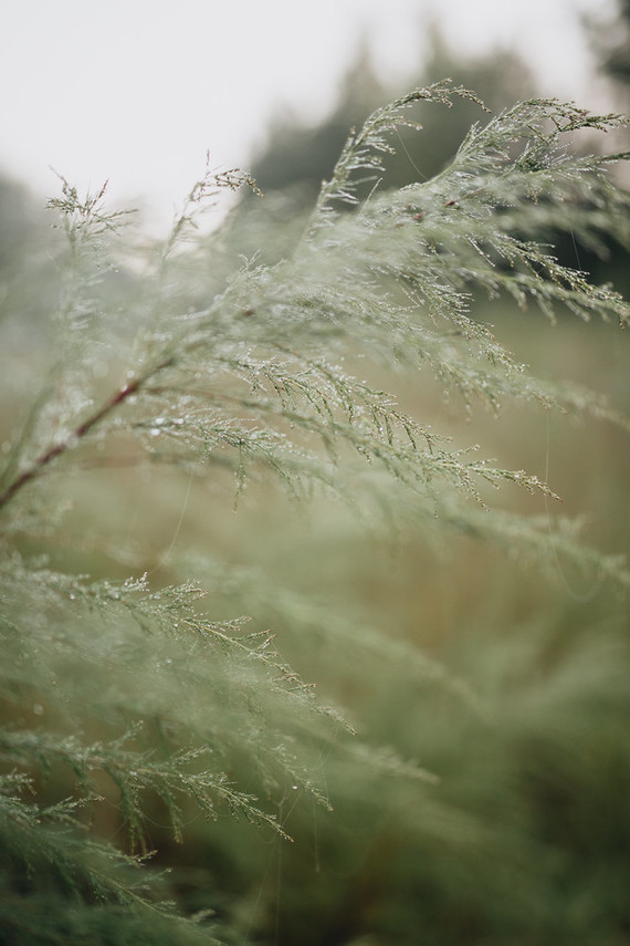 McDaniel Farm Park family newborn photos