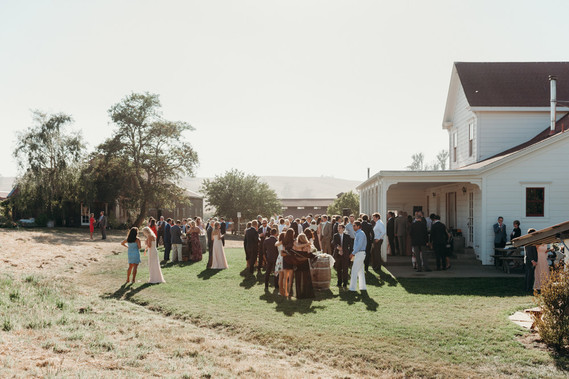 Petaluma farm wedding