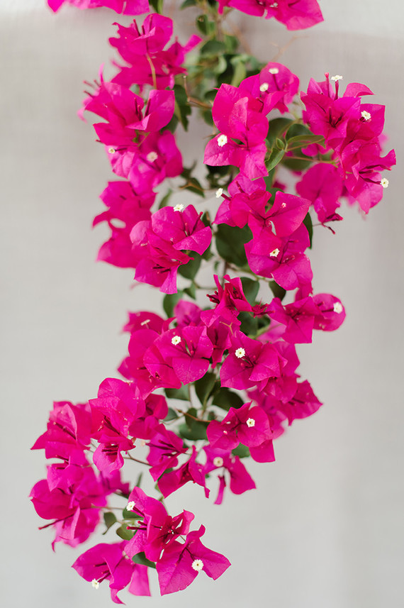 Bougainvillea-inspired wedding ideas