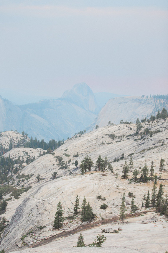 Blush Yosemite vow renewal