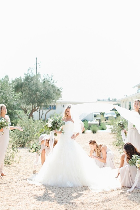White olive ranch wedding in San Luis Obispo