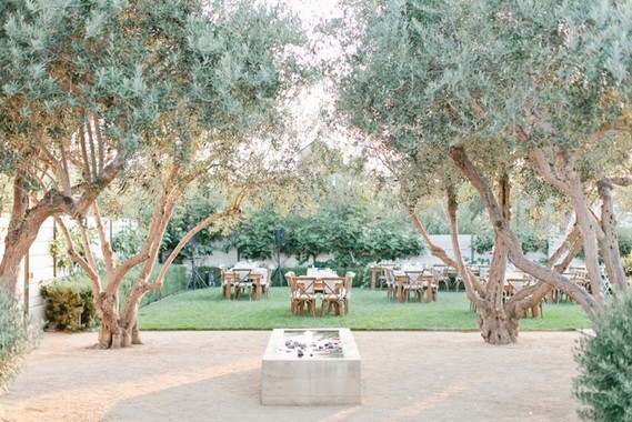 White olive ranch wedding in San Luis Obispo