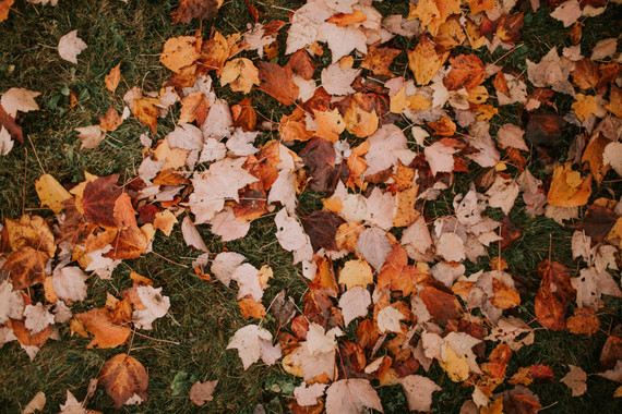 Moody fall barn wedding in Maine Inspiration