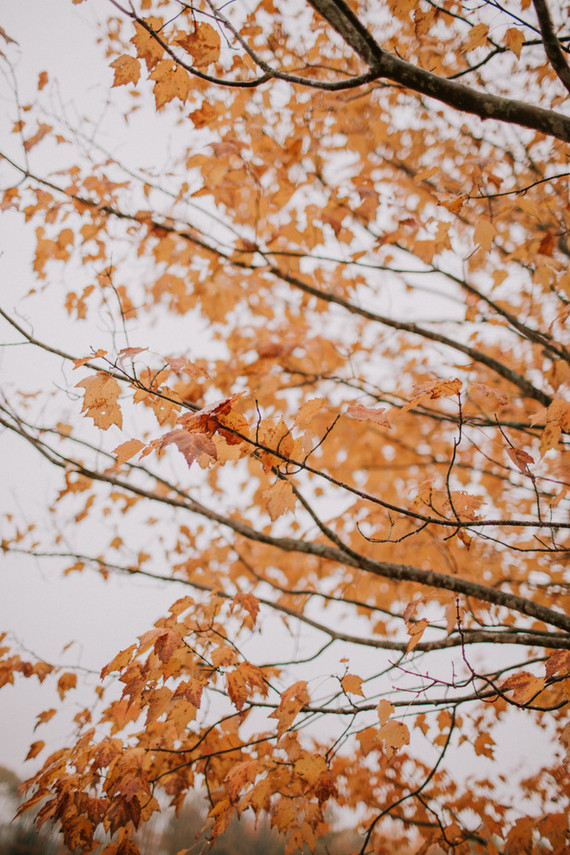 Moody fall barn wedding in Maine