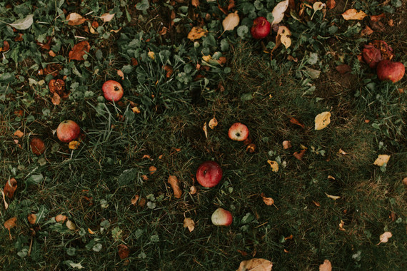Moody fall barn wedding in Maine