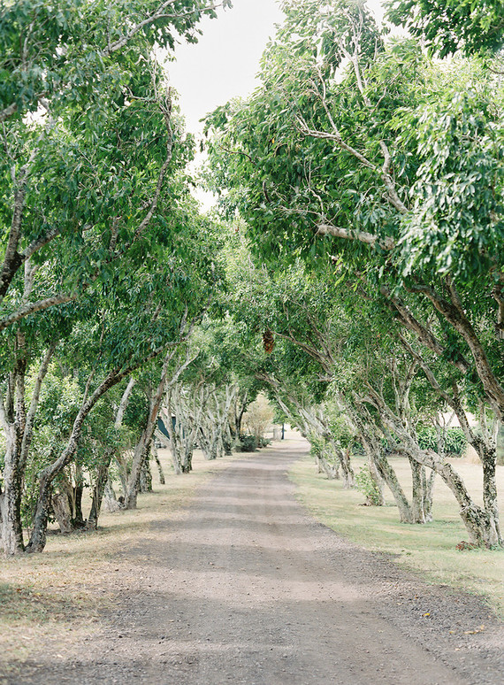 Vintage botanical wedding at Puakea Ranch in Hawaii