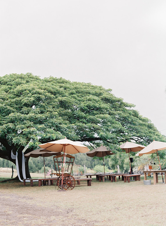 Vintage botanical wedding at Puakea Ranch in Hawaii