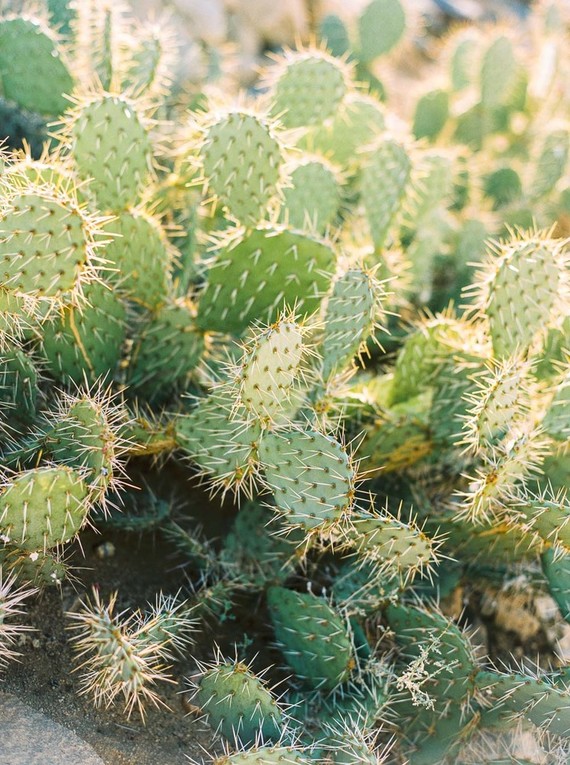 Eclectic Joshua Tree wedding at the Sacred Sands Inn Inspiration