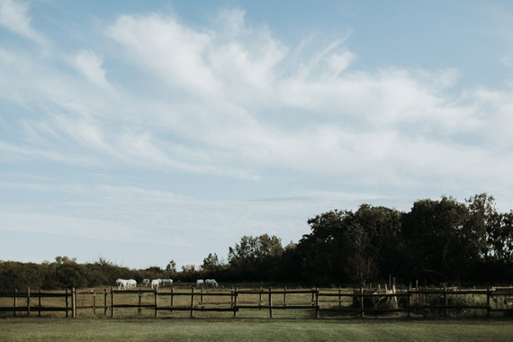 Authenic festive farm wedding in Saintes-Maries-de-la-Mer, Provence