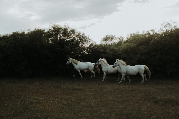 Authenic festive farm wedding in Saintes-Maries-de-la-Mer, Provence