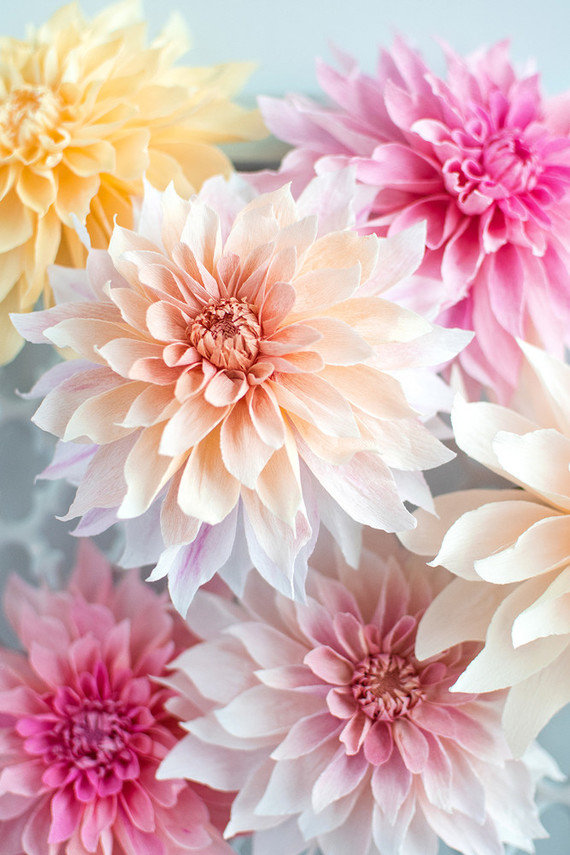 paper dahlias