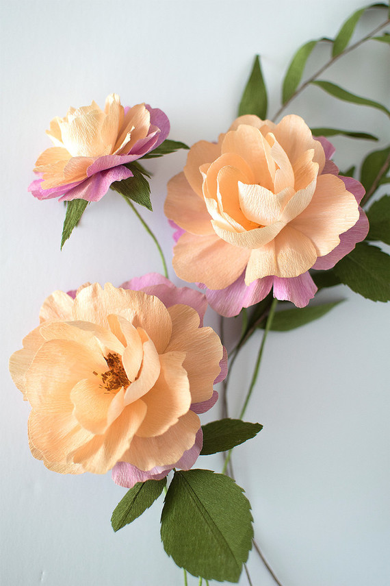 paper roses