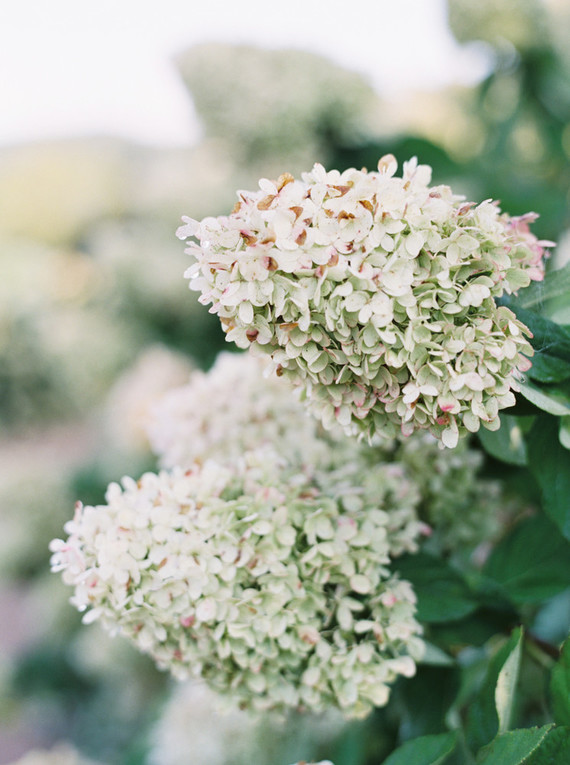 spring floral wedding inspiration