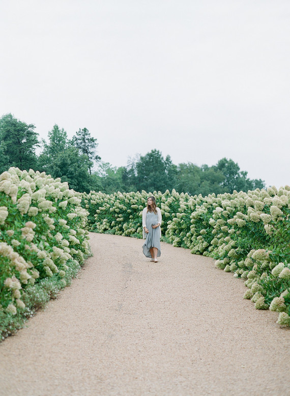 Pippin Hill Farm maternity photos