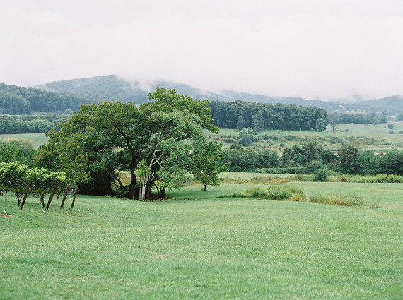 Pippin Hill Farm maternity photos