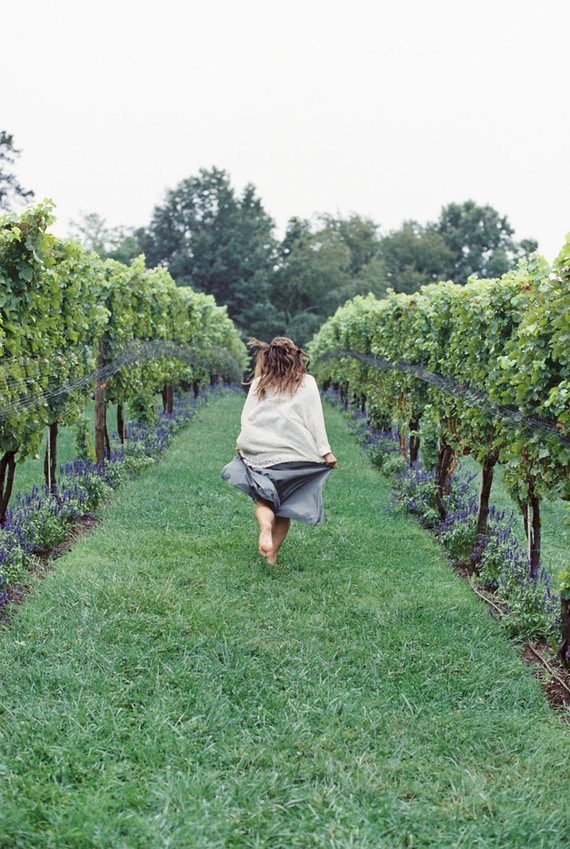 Pippin Hill Farm maternity photos