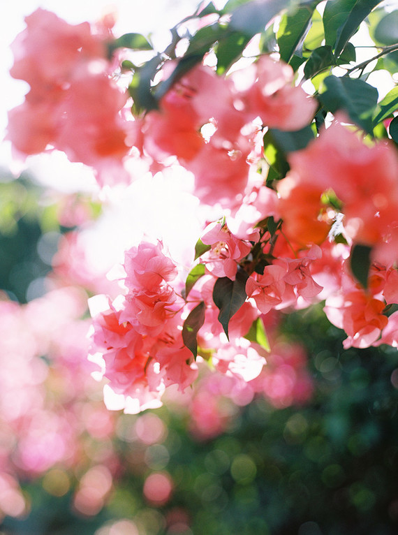 Guide to getting married in Sayulita Mexico