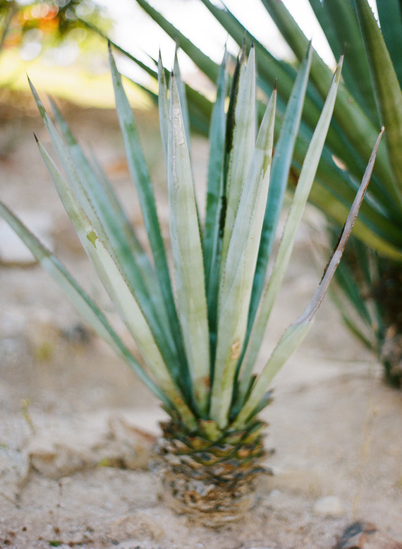 Guide to getting married in Sayulita Mexico