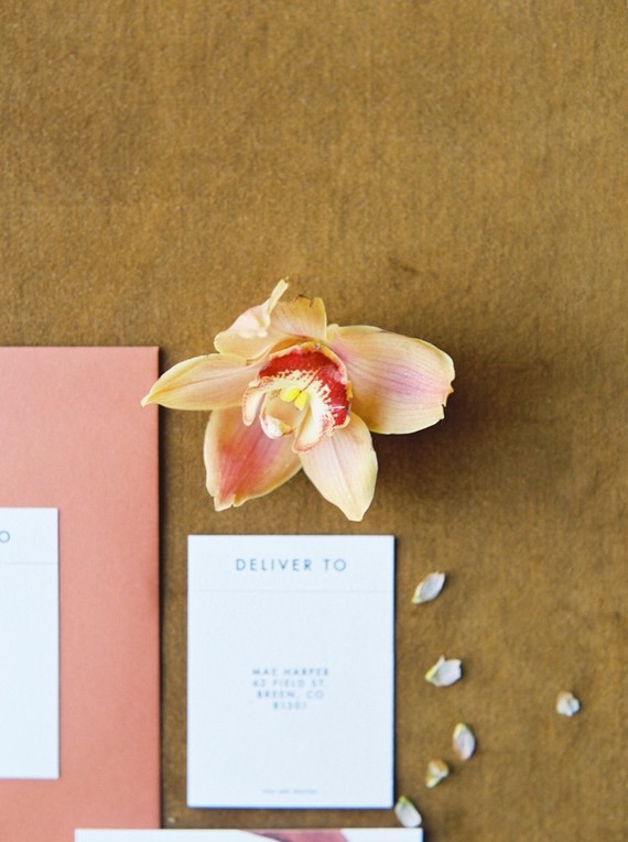 Stylish mod engagement photos on Galiano Island