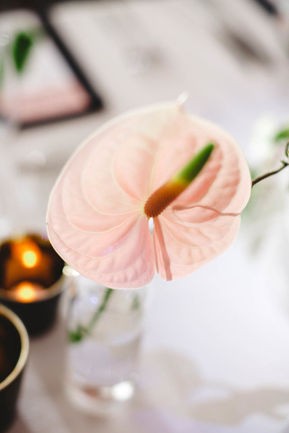 Modern jewel tone wedding at Vibiana in DTLA