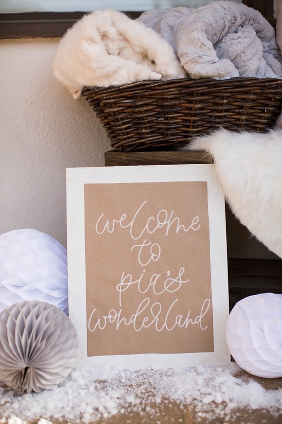 Feminine winter wonderland 1st birthday party Inspiration