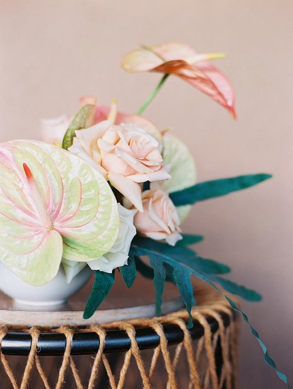 Tropical flowers