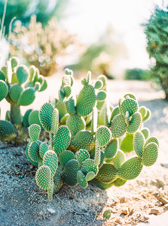 Romantic fall southwest wedding ideas in Scottsdale