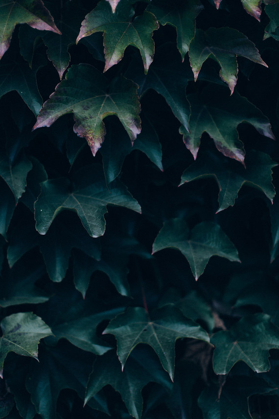 Intimate winter wedding at Chateau de Montplaisant in France