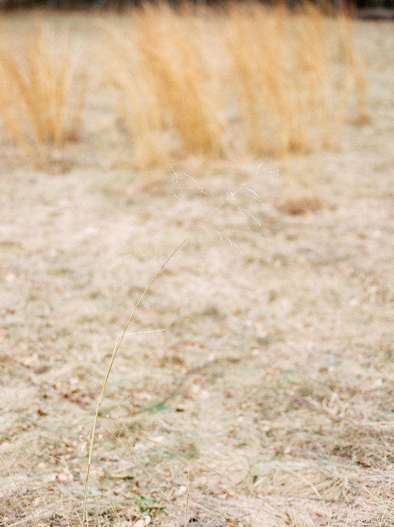 Feminine neutral wedding ideas at Foxfire Mountain House in the Catskills