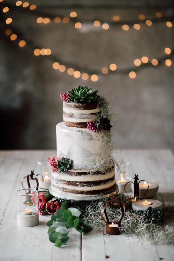 Winter naked cake