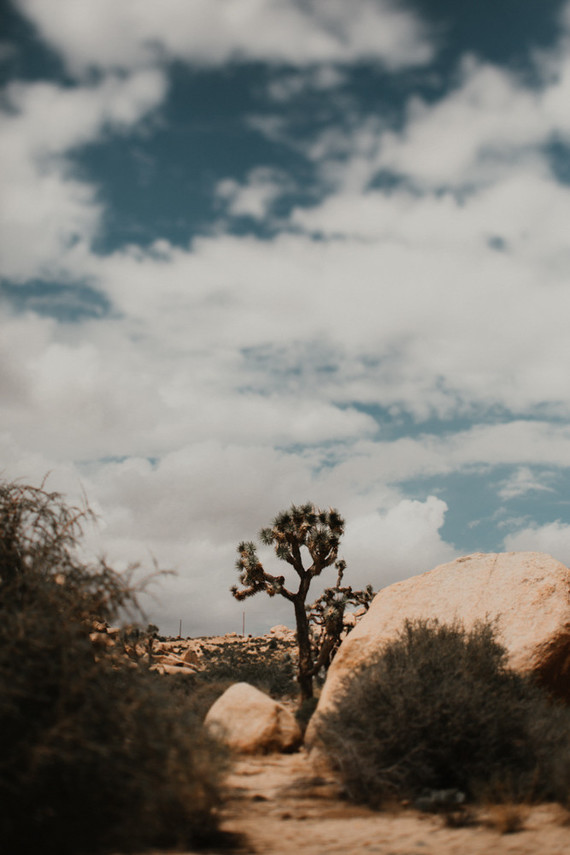 Sunset desert wedding at The Ruin Venue in Joshua Tree