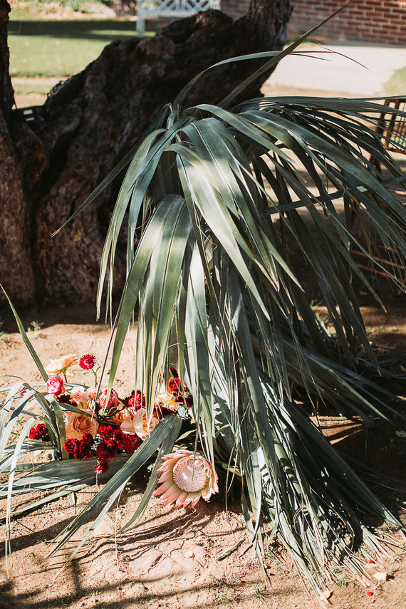Stylish tropical wedding at Flora Farms in Cabo Inspiration