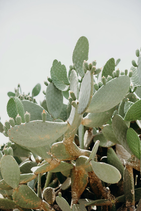 Chic summer destination wedding in Ibiza