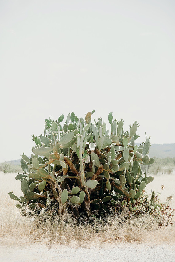 Chic summer destination wedding in Ibiza