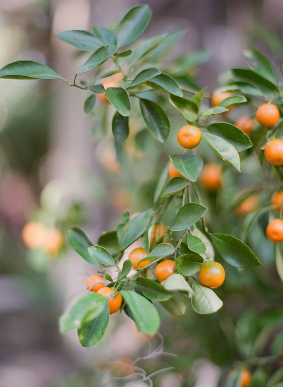 Bold, elegant Charleston wedding inspiration