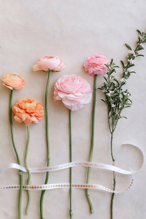 Printed ribbon with P-touch