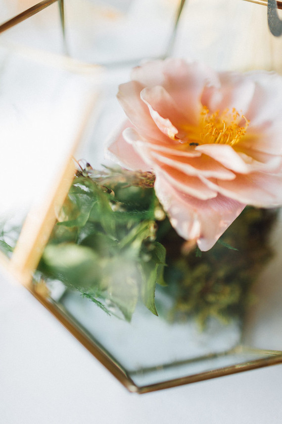 Sunlit Austin wedding at Addison Grove Inspiration