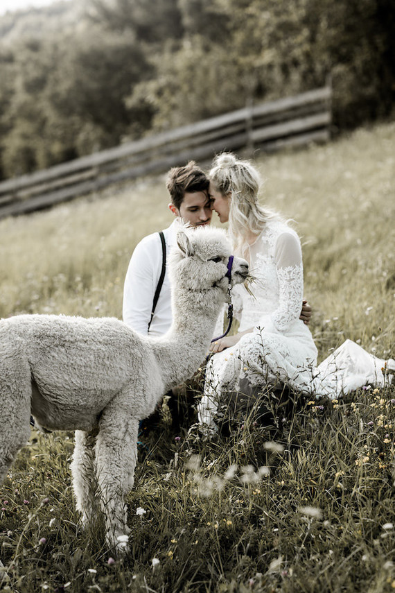 Italian mountain elopement in the Dolomites with alpacas! Inspiration