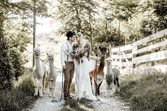 Italian mountain elopement in the Dolomites with alpacas! Inspiration