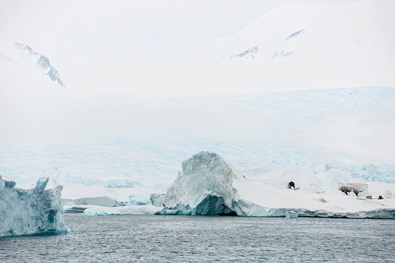 Antarctica wedding