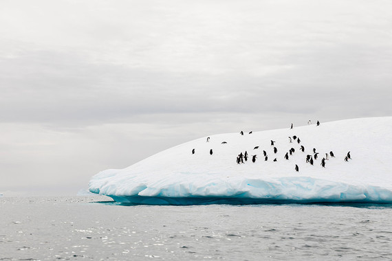 Antarctica wedding