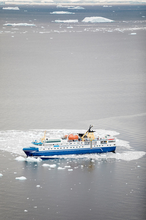 Antarctica wedding