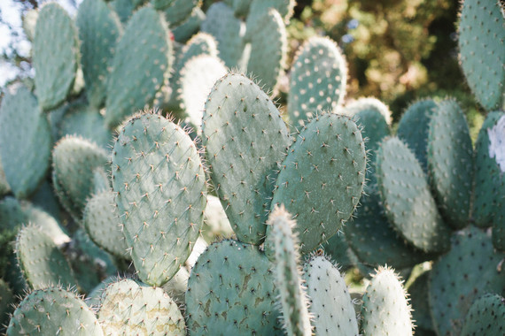 Stylish, whimsical, floral wedding at De Tierra Vineyards Inspiration