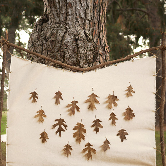 DIY nature-themed 2nd birthday party