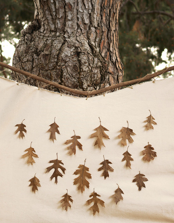 DIY nature-themed 2nd birthday party