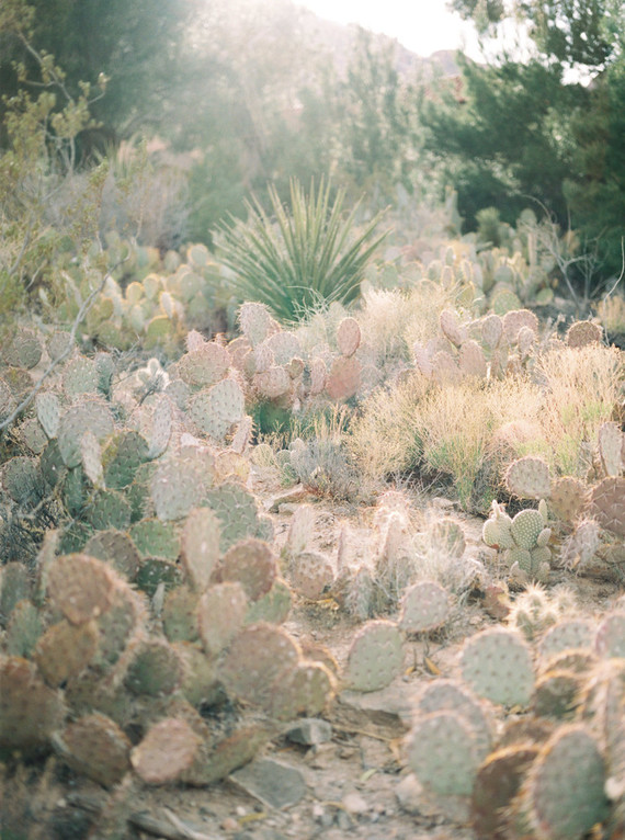Dreamy desert elopement shoot in Las Vegas Inspiration