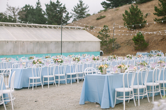 Whimsical greenhouse wedding at Shelldance Orchid Gardens